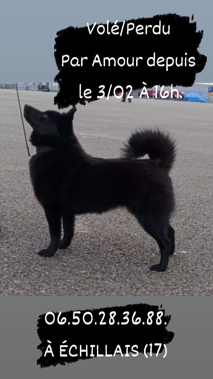 de l'empire du Phoenix - Urgent