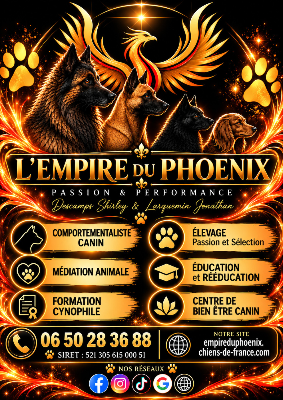 Nos services